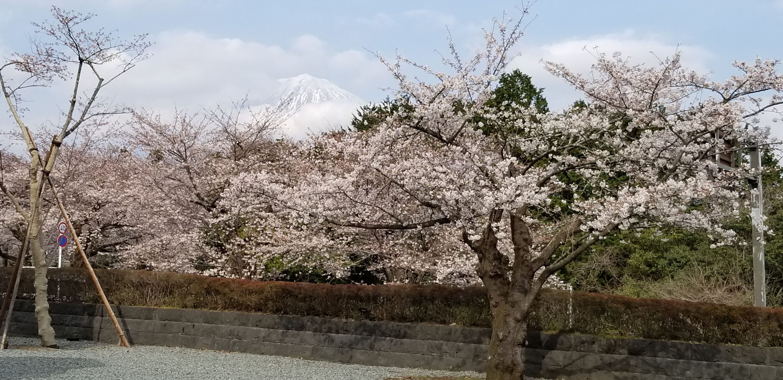 このホームページ、ChatGPTに作らせました。